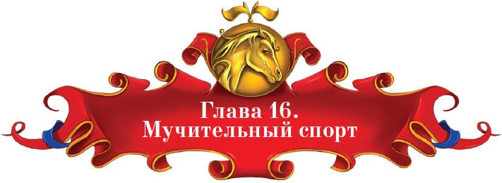 Тайна заколдованного леса Тайна заколдованного леса