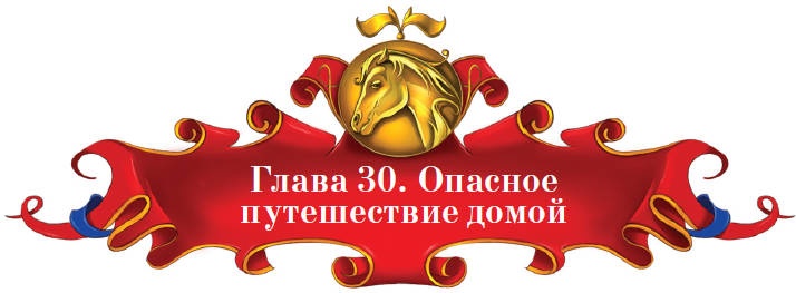 Тайна заколдованного леса Тайна заколдованного леса