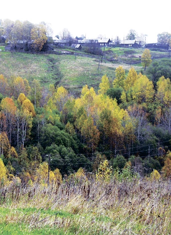 Тихая Виледь