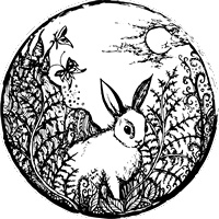 Foxcraft. Книга 3. Снежная магия Foxcraft. Книга 3. Снежная магия