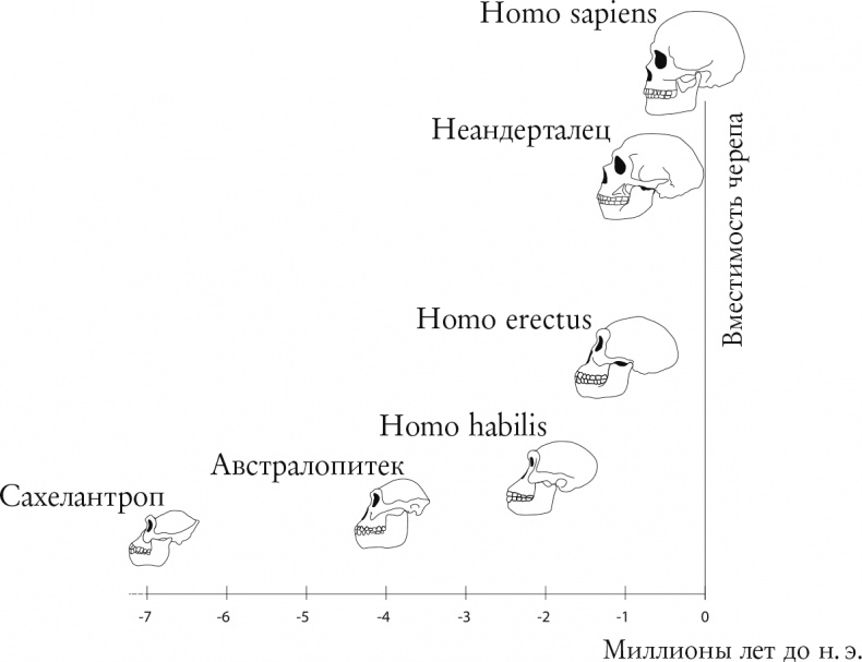 Происхождение Происхождение