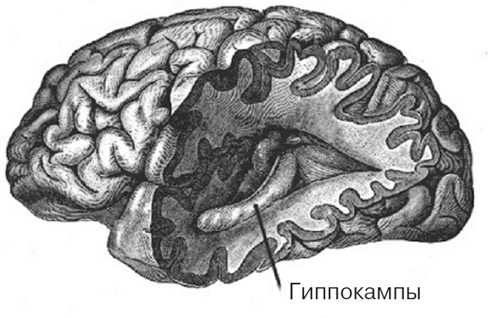 Почему девочки не хуже мальчиков разбираются в математике Почему девочки не хуже мальчиков разбираются в математике