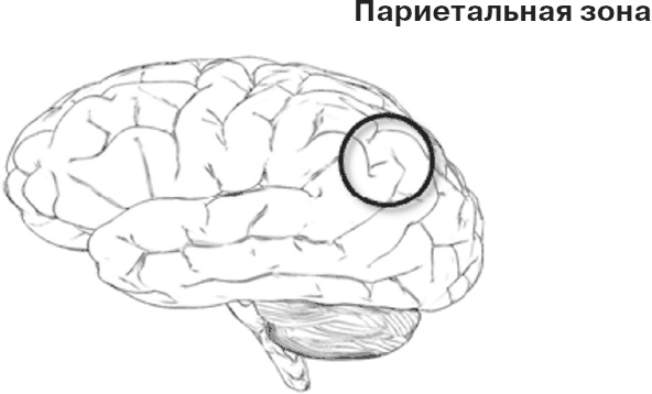 Почему девочки не хуже мальчиков разбираются в математике Почему девочки не хуже мальчиков разбираются в математике