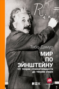 Мир по Эйнштейну. От теории относительности до теории струн - Тибо Дамур