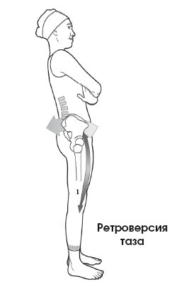 Диагностика и лечение позвоночника. Уникальная система доктора А. М. Уриа Диагностика и лечение позвоночника. Уникальная система доктора А. М. Уриа
