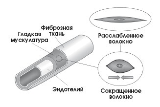 Диагностика и лечение позвоночника. Уникальная система доктора А. М. Уриа Диагностика и лечение позвоночника. Уникальная система доктора А. М. Уриа