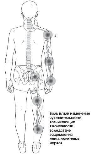 Диагностика и лечение позвоночника. Уникальная система доктора А. М. Уриа Диагностика и лечение позвоночника. Уникальная система доктора А. М. Уриа