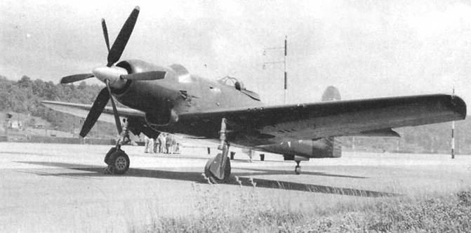 F8F «Bearcat»