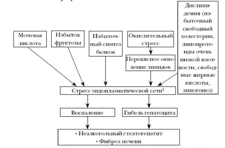 Секреты вечной молодости Секреты вечной молодости