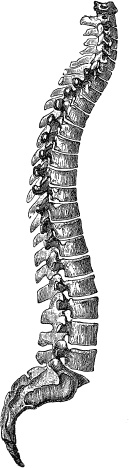 Модицина. Encyclopedia Pathologica Модицина. Encyclopedia Pathologica