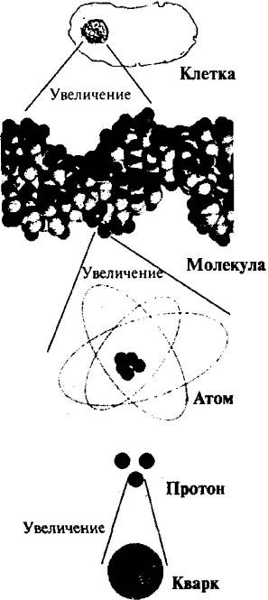 Пять нерешенных проблем науки Пять нерешенных проблем науки