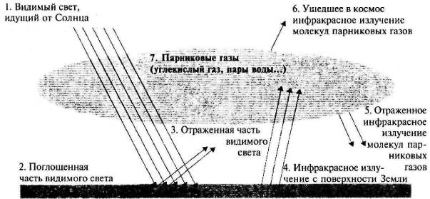 Пять нерешенных проблем науки Пять нерешенных проблем науки