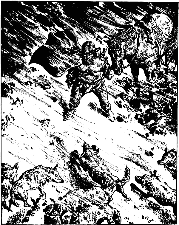 Волкодав - Мария Семенова