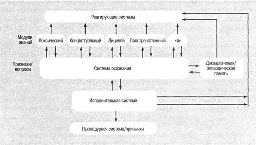 Когнитивная психология Когнитивная психология