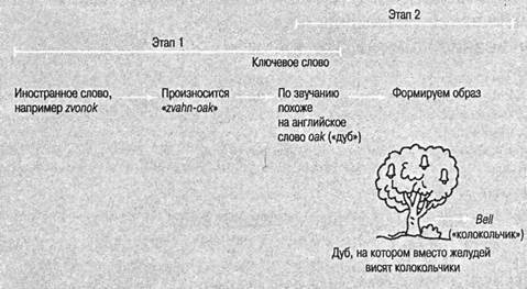 Когнитивная психология Когнитивная психология