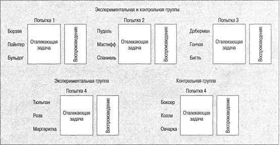Когнитивная психология Когнитивная психология