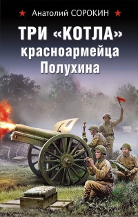 Три котла красноармейца Полухина - Анатолий Сорокин