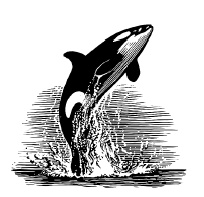 Лед Лед
