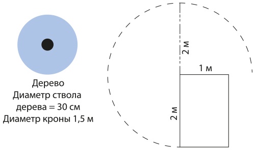 Математическое мышление Математическое мышление